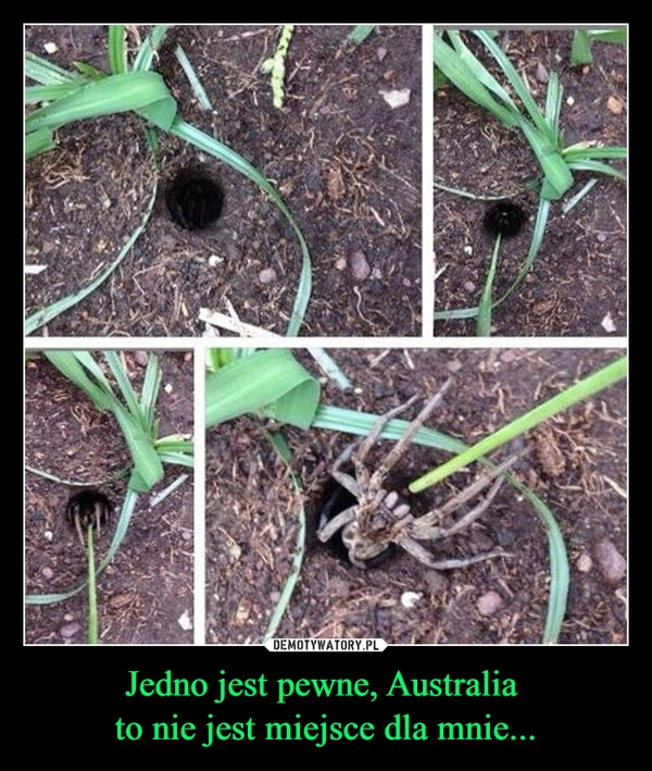 
    Jedno jest pewne, Australia 
to nie jest miejsce dla mnie...