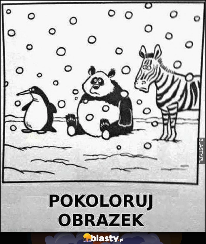 
    Pokoloruj obrazek pingwin, zebra, panda - same czarno białe