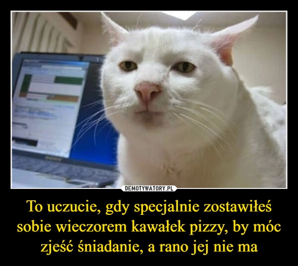 
    To uczucie, gdy specjalnie zostawiłeś sobie wieczorem kawałek pizzy, by móc zjeść śniadanie, a rano jej nie ma