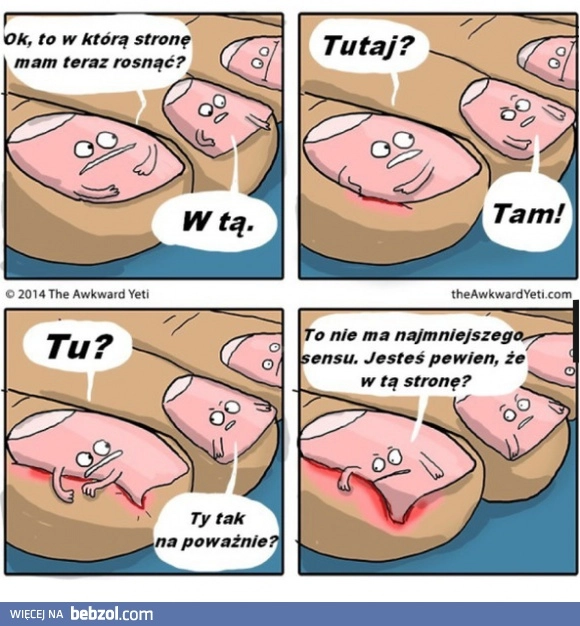 
    Prawdziwa historia
