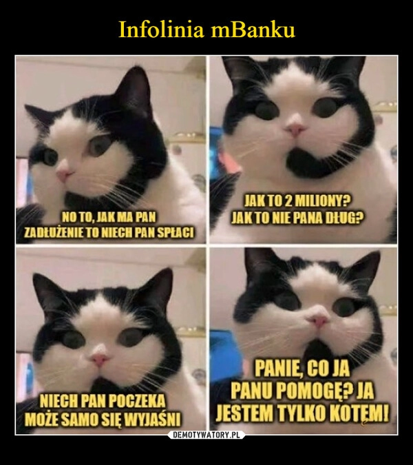 
    Infolinia mBanku