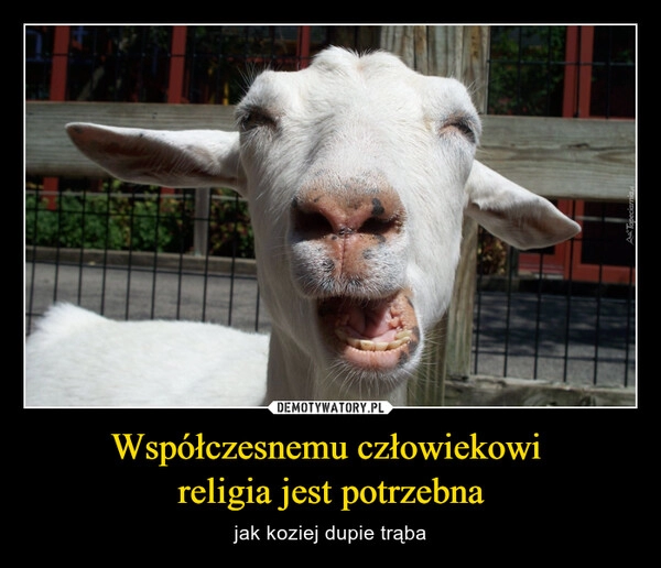 
    Współczesnemu człowiekowi 
religia jest potrzebna