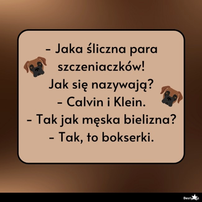 
    Śliczna para szczeniaczków 