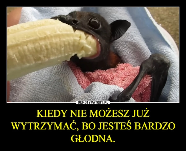 
    KIEDY NIE MOŻESZ JUŻ WYTRZYMAĆ, BO JESTEŚ BARDZO GŁODNA.