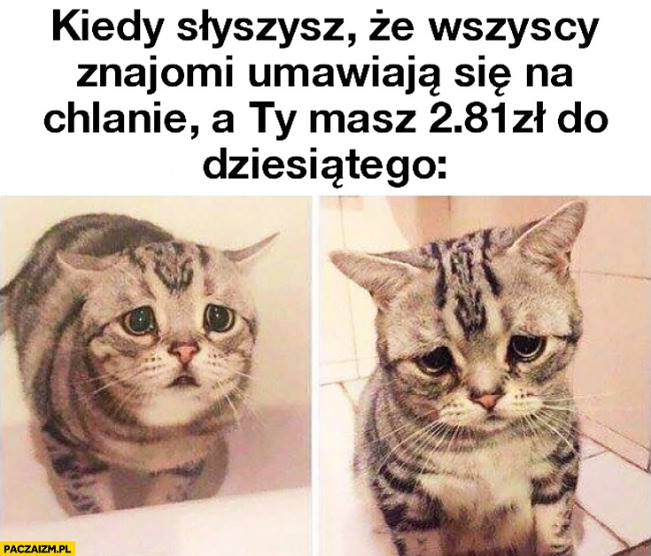 
    Kiedy słyszysz, że wszyscy znajomi umawiają się na chlanie a Ty masz 2,81zł do dziesiątego