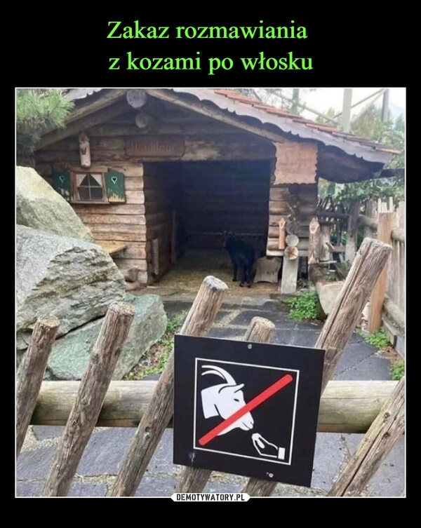 
    Zakaz rozmawiania 
z kozami po włosku