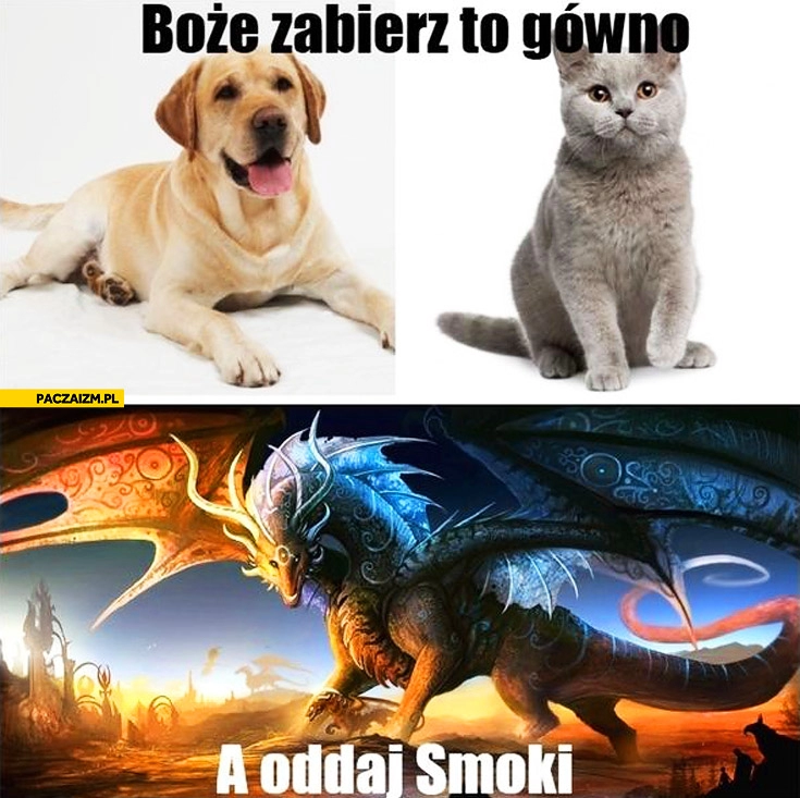 
    Boże zabierz to gówno a oddaj smoki