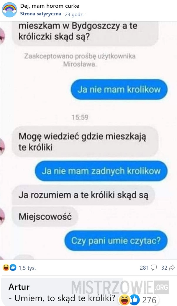 
    Króliki