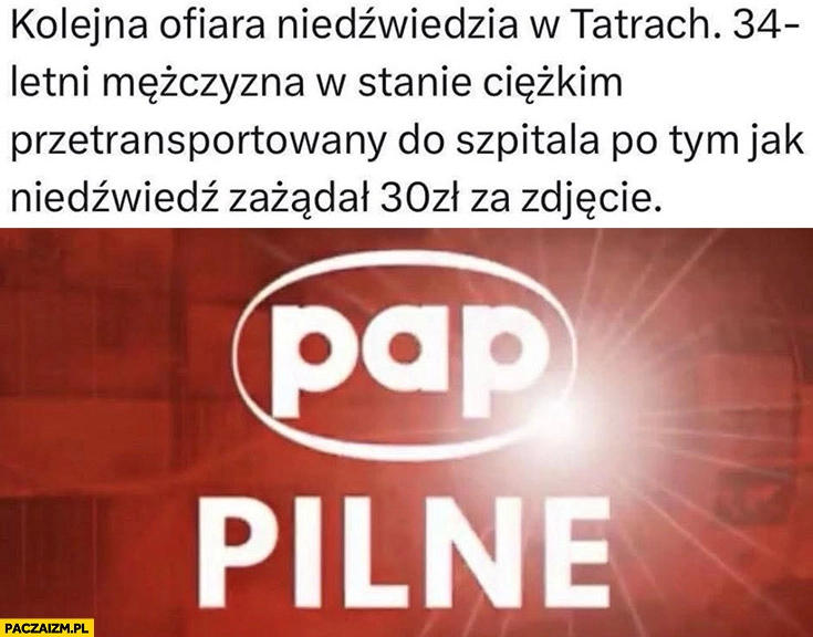 
    Pilne kolejna ofiara niedźwiedzia w tatrach 34-letni mężczyzna w stanie ciężkim po tym jak niedźwiedź zażądał 30 zł za zdjęcie