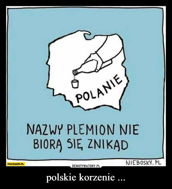 
    polskie korzenie ...