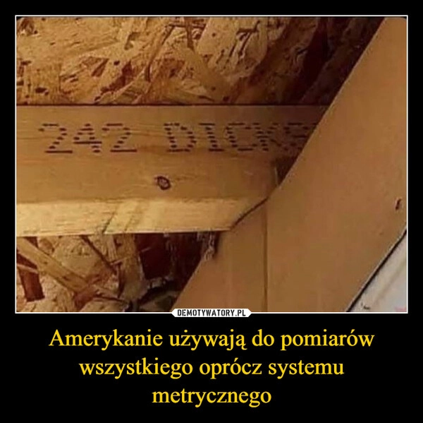 
    Amerykanie używają do pomiarów wszystkiego oprócz systemu metrycznego