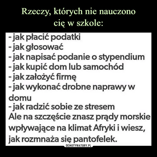 
    Rzeczy, których nie nauczono
cię w szkole: