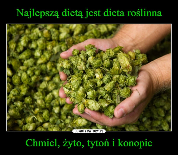 
    Najlepszą dietą jest dieta roślinna Chmiel, żyto, tytoń i konopie