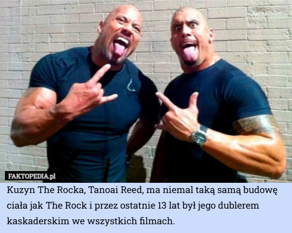 
    Kuzyn The Rocka, Tanoai Reed, ma niemal taką samą budowę ciała jak The Rock