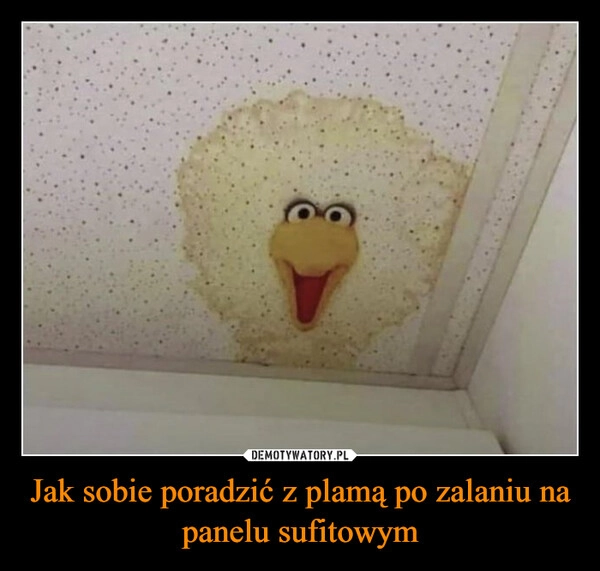 
    Jak sobie poradzić z plamą po zalaniu na panelu sufitowym