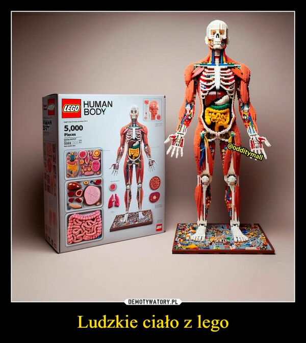 
    Ludzkie ciało z lego