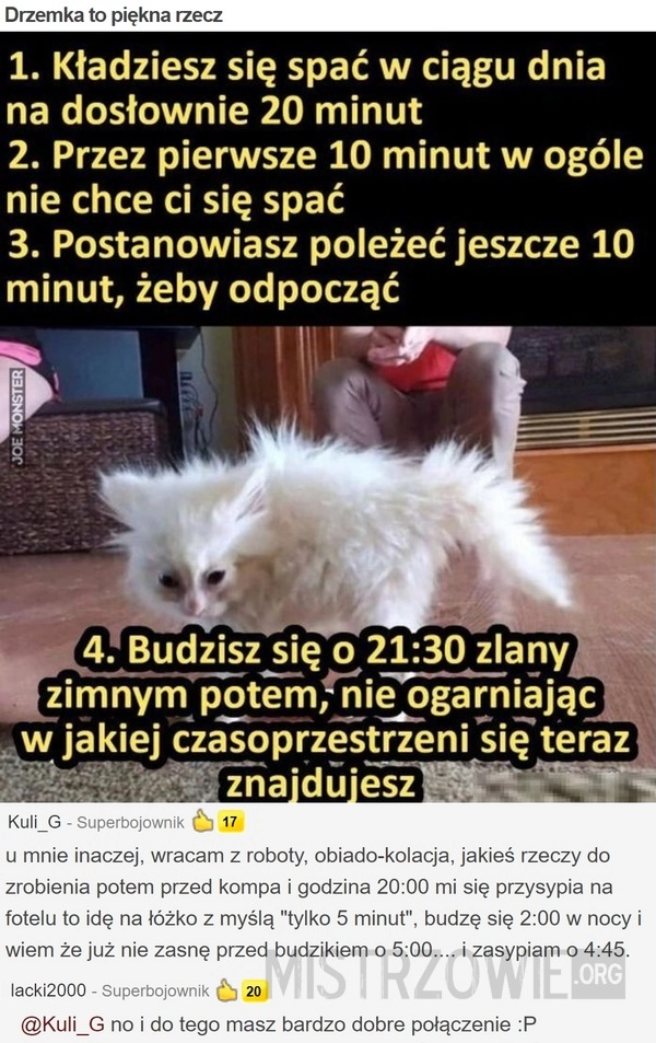 
    
			Drzemka to piękna rzecz					