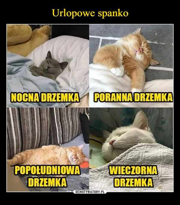 
    Urlopowe spanko