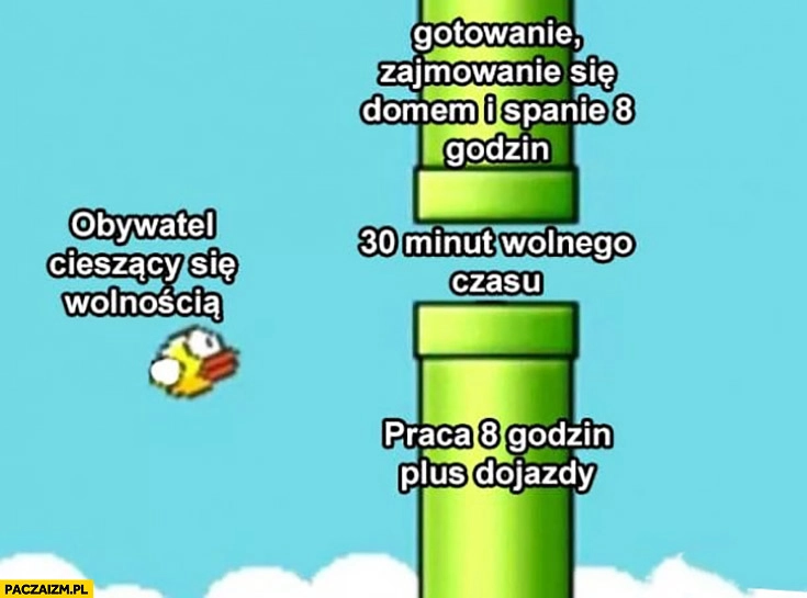 
    Obywatel cieszący się wolnością – praca 8 godzin plus dojazdy, zajmowanie się domem, spanie, zostaje 30 minut wolnego czasu