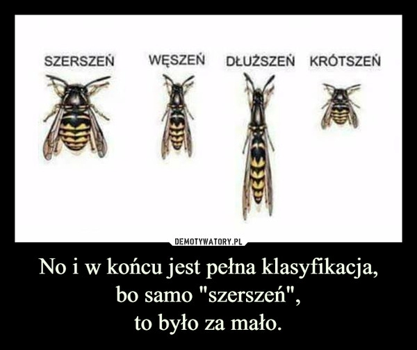 
    No i w końcu jest pełna klasyfikacja,
bo samo "szerszeń",
to było za mało.