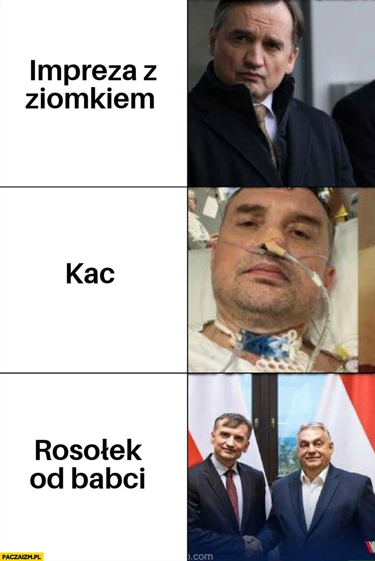 
    Ziobro impreza z ziomkiem, kac, rosołek od babci Orban