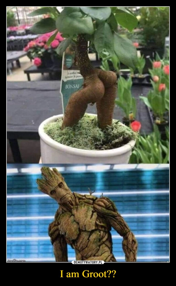 
    I am Groot??