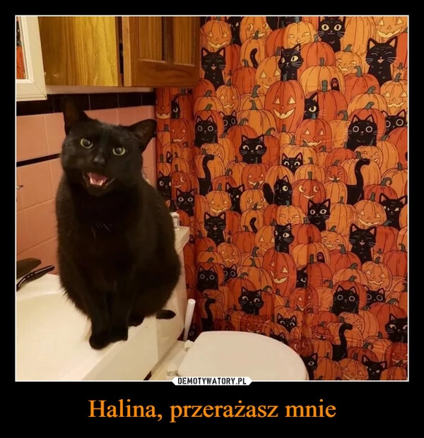 
    Halina, przerażasz mnie