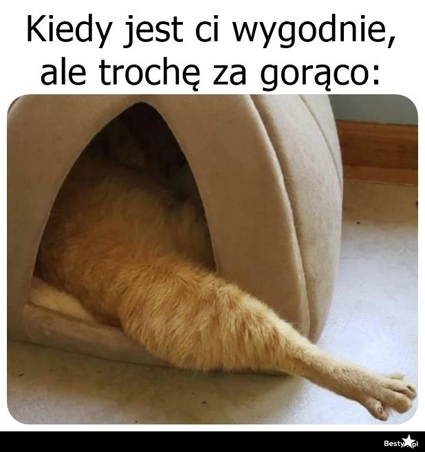 
    Tryb chłodzenia aktywowany 