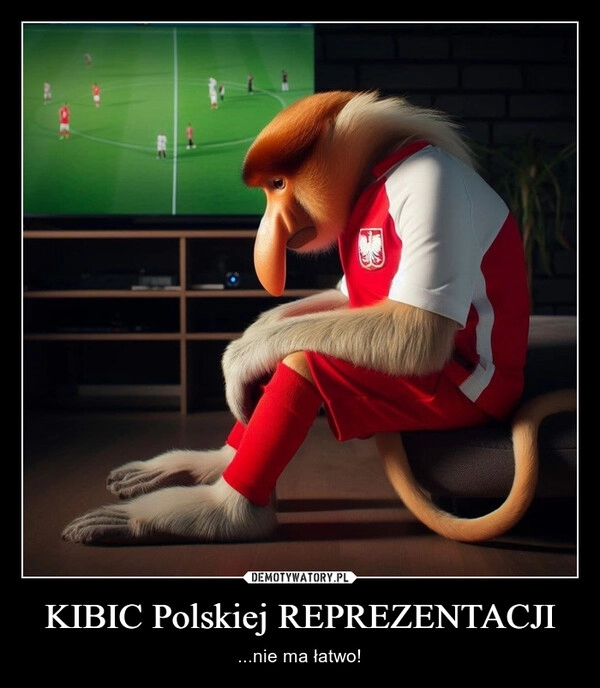 
    KIBIC Polskiej REPREZENTACJI