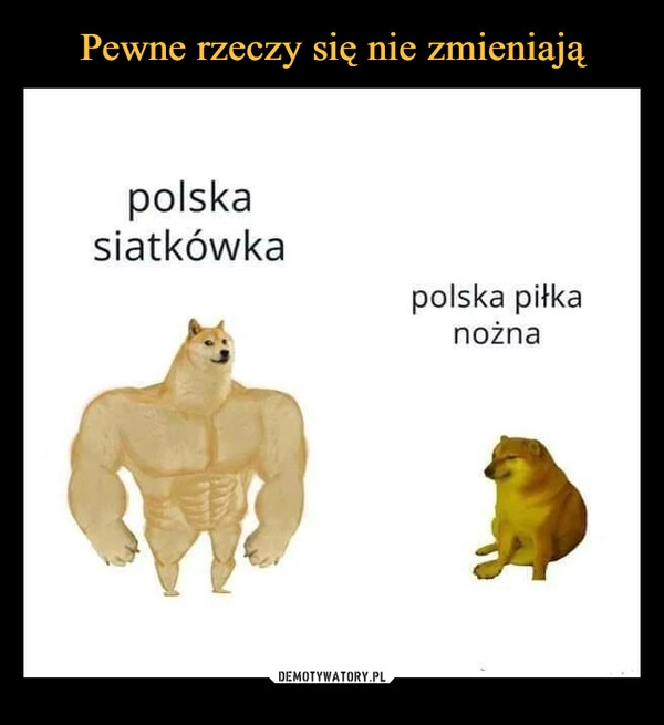 
    Pewne rzeczy się nie zmieniają