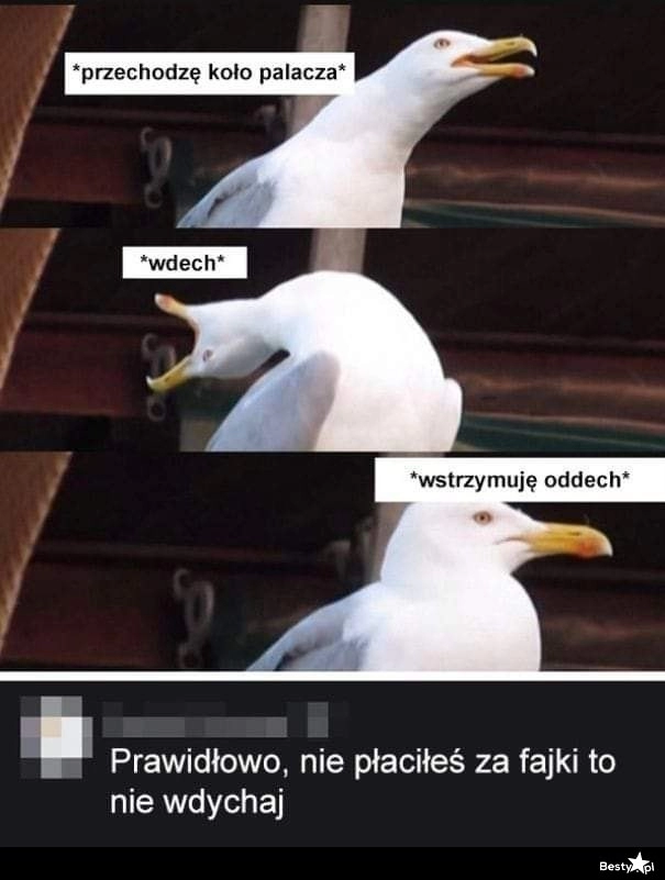 
    Przechodzenie obok palacza 