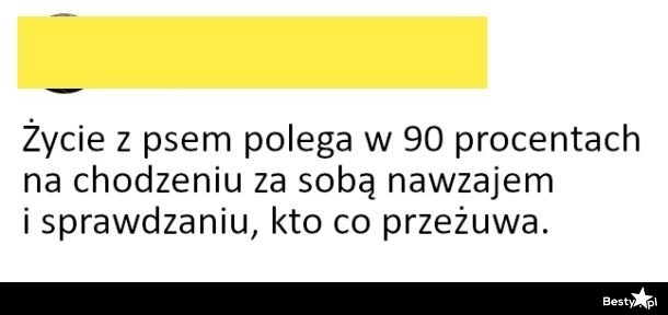 
    Życie z psem 