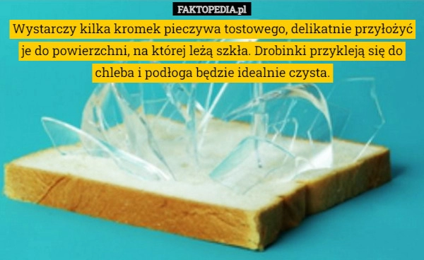 
    Wystarczy kilka kromek pieczywa tostowego, delikatnie przyłożyć je do powierzchni,