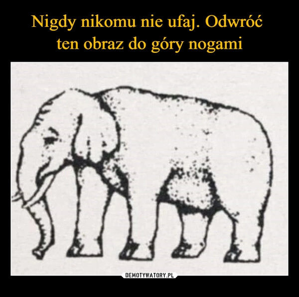 
    Nigdy nikomu nie ufaj. Odwróć 
ten obraz do góry nogami