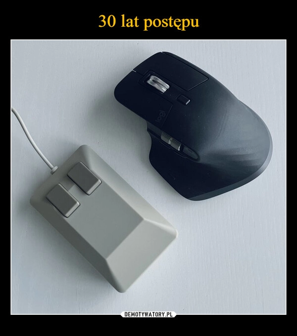 
    30 lat postępu