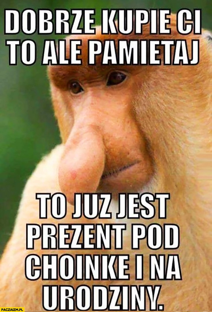 
    Dobrze kupie Ci to, ale pamiętaj to już jest prezent pod choinkę i na urodziny. Typowy Polak nosacz małpa