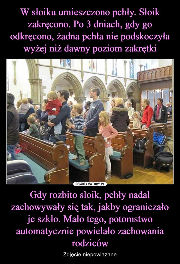 
    W słoiku umieszczono pchły. Słoik zakręcono. Po 3 dniach, gdy go odkręcono, żadna pchła nie podskoczyła wyżej niż dawny poziom zakrętki Gdy rozbito słoik, pchły nadal zachowywały się tak, jakby ograniczało je szkło. Mało tego, potomstwo automatycznie powielało zachowania rodziców 