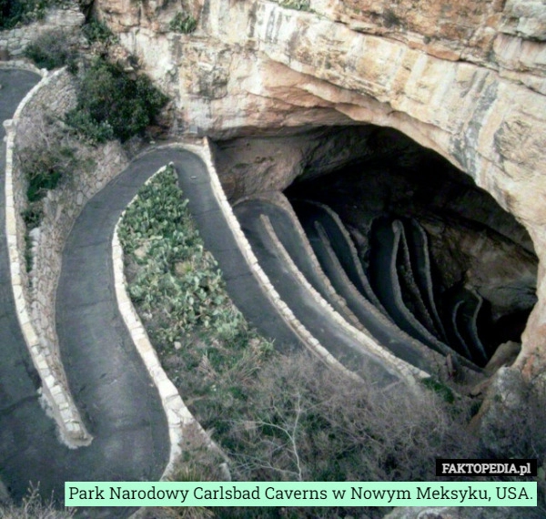 
    Park Narodowy Carlsbad Caverns w Nowym Meksyku, USA.