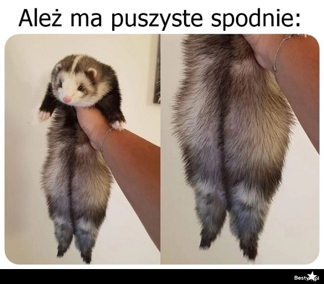 
    Puszyste spodnie 