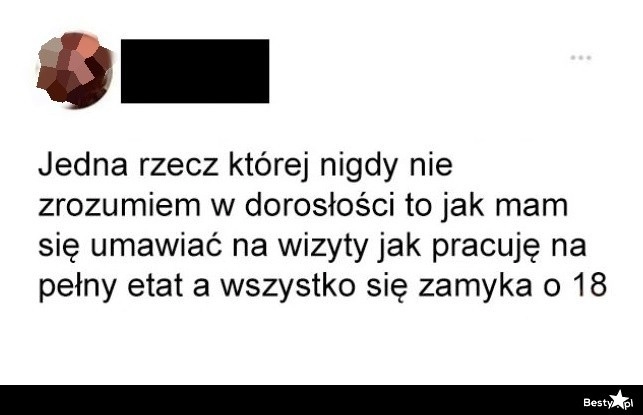 
    Dorosłość 