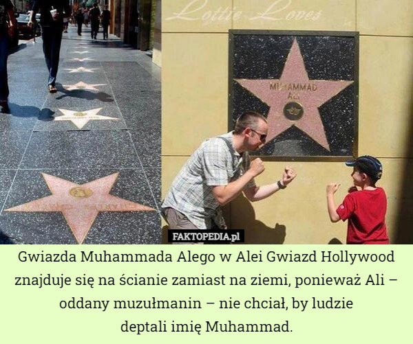 
    Gwiazda Muhammada Alego w Alei Gwiazd Hollywood znajduje się na ścianie