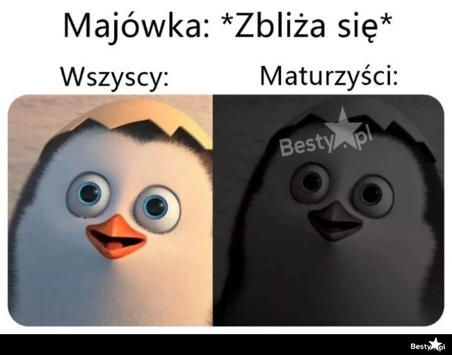 
    Majówka życia 