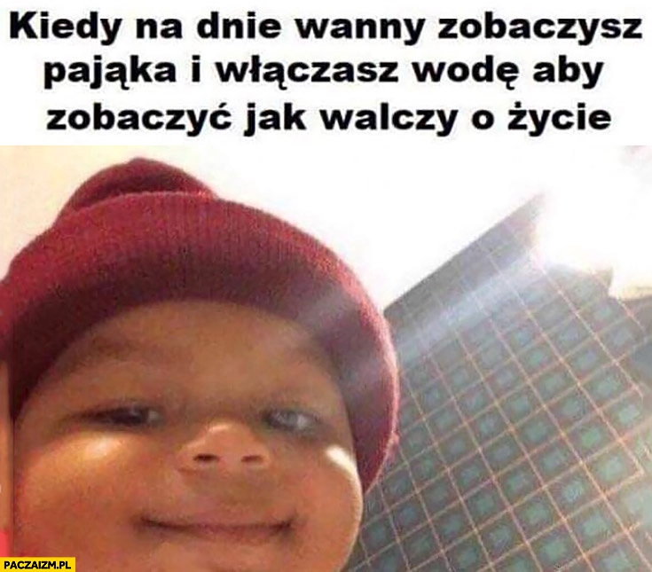 
    Kiedy na dnie wanny zobaczysz pająka i włączasz wodę aby zobaczyć jak walczy o życie