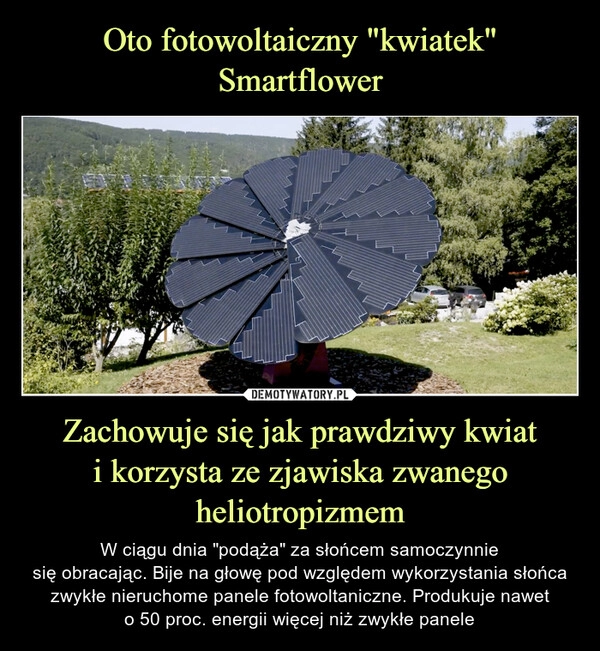 
    Oto fotowoltaiczny "kwiatek" Smartflower Zachowuje się jak prawdziwy kwiat
i korzysta ze zjawiska zwanego heliotropizmem 