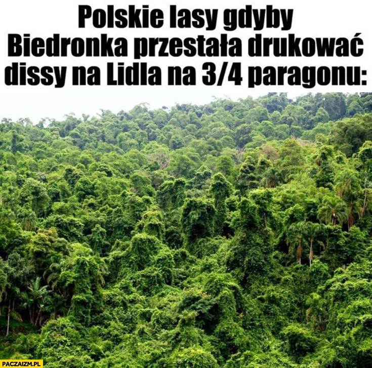 
    Polskie lasy gdyby Biedronka przestała drukować dissy na Lidla na 3/4 paragonu