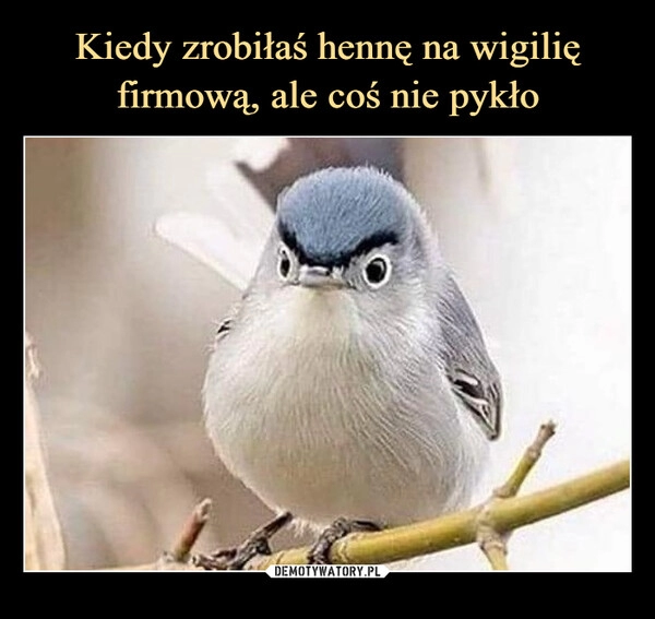 
    
Kiedy zrobiłaś hennę na wigilię firmową, ale coś nie pykło 