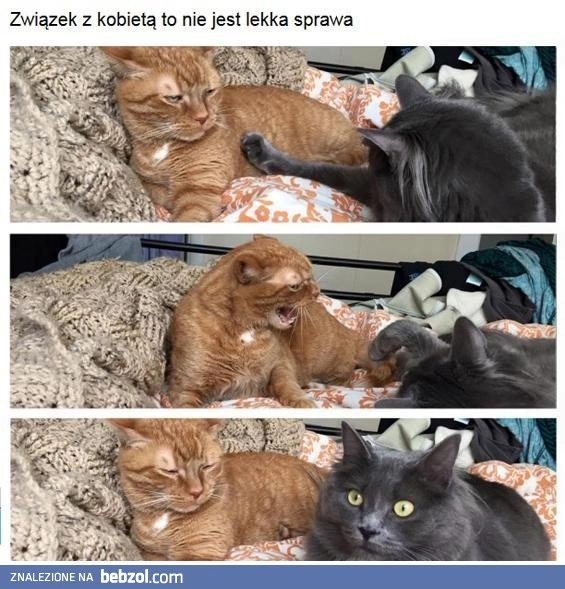 
    Związek z kobietą
