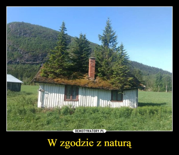 
    W zgodzie z naturą