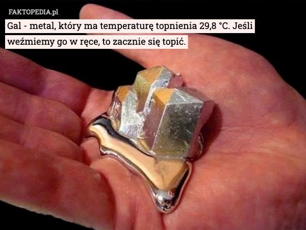 
    Gal - metal, który ma temperaturę topnienia 29,8 °C. Jeśli weźmiemy go w