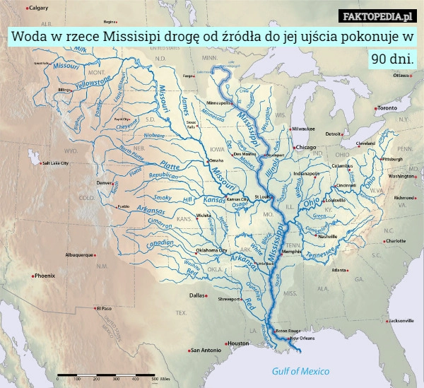 
    Woda w rzece Missisipi drogę od źródła do jej ujścia pokonuje w 90 dni.